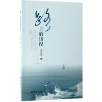 [M]路上的彷徨-9787114131950