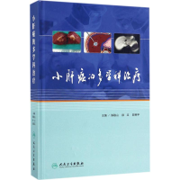 [M]小肝癌的多学科治疗-9787117246170