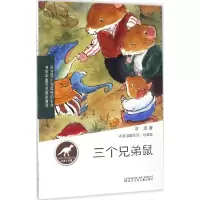 [M]三个兄弟鼠 冰波 著 著 -9787531568827