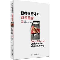 [M]显微根管外科彩色图谱-9787117230278