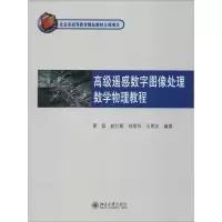 [M]高级遥感数字图像处理数学物理教程-9787301266502