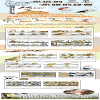 [M]三毛解放记 彩图注音读物-9787558900624