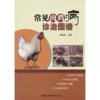 [M]常见肉鸡病诊治图谱-9787511613356