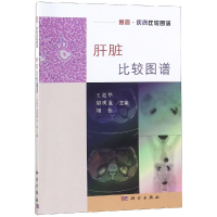[M]肝脏比较图谱-9787030594556