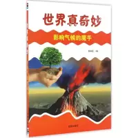 [M]影响气候的魔手-9787508298580