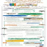 [M]名家名篇里的写作密码 特级教师张祖庆写给学生的作文童话(3册)-9787115514981