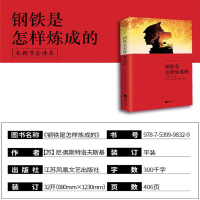 [M]钢铁是怎样炼成的-9787539998329