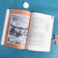 [M]小英雄雨来 彩插励志版-9787100186261