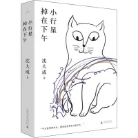 [M]小行星掉在下午-9787559823144