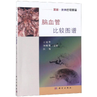 [M]脑血管比较图谱-9787030594501