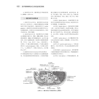 [M]围术期麻醉相关生命质量调控策略-9787504686282