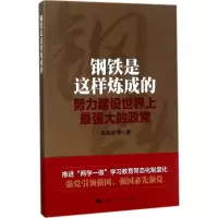 [M]钢铁是这样炼成的:努力建设世界上最强大的政党-9787208146914