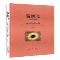 [M]贺鹏飞:原始主义与抽象主义画家-9787539886480