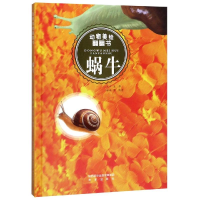 [M]蜗牛/动物美绘翻翻书-9787541757884