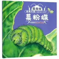 [M]变身大师:菜粉蝶(精装)/昆虫绘-9787541767586