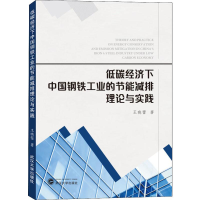 [M]低碳经济下中国钢铁工业的节能减排理论与实践 王晓蕾 著 -9787307123816