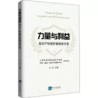 [M]力量与利益 知识产权保护案例启示录-9787513065498