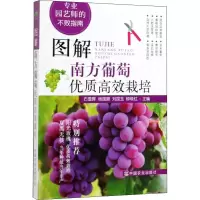 [M]图解南方葡萄优质高效栽培-9787109259140