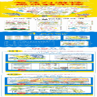 [M]我的第一本专注力训练游戏书 涂色书——数字和形状-9787540871864
