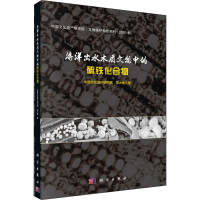 [M]海洋出水木质文物中的硫铁化合物-9787030658654