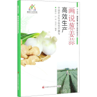 [M]画说葱姜蒜高效生产-9787511647504