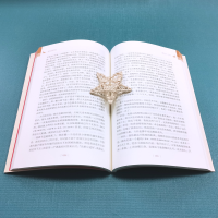 [M]鲁滨逊漂流记-9787100189743