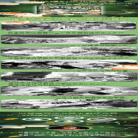 [M]异能者龚团团 李天飞 著 -9787559646040