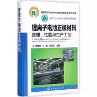 [M]锂离子电池正极材料:原理、性能与生产工艺-9787122298973