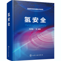 [M]氢安全 毛宗强 等 编 -9787122374653