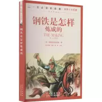 [M]钢铁是怎样炼成的-9787530153321