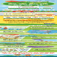 [M]2~6岁数学贴纸游戏书 基础级(1-6)-9787511049889