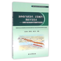 [M]油砂成矿地质条件.富集规律与勘探开发技术:准噶尔盆地油砂矿勘探开发实践-9787518313501