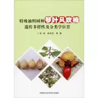 [M]特殊油料树种琴叶风吹楠遗传多样性及分类学位置 吴裕 等 著 -9787511644695