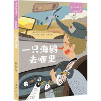 [M]一只海鸥去哪里 段立欣 著 -9787558545665