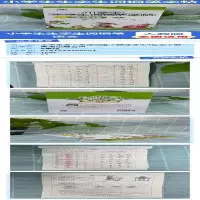 [M]小学生生字生词钢笔字帖课课练 4年级 下册 李方鸣 著 -9787544209601