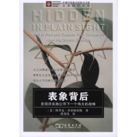 [M]表象背后——发现并实施公司下一个伟大的战略-9787100065238