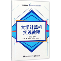 [M]大学计算机实践教程-9787121323829