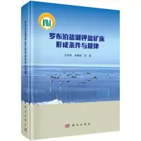 [M]罗布泊盐湖钾盐矿床形成条件与规律(精)-9787030641878