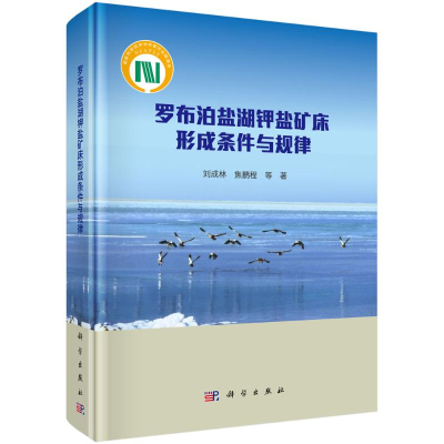 [M]罗布泊盐湖钾盐矿床形成条件与规律(精)-9787030641878