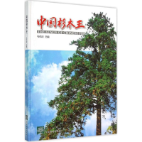[M]中国杉木王-9787503877544