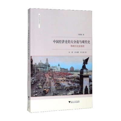 [M]中国经济史的大分流与现代化 一种跨国比较视野-9787308200448