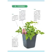 [M]月季栽培完全圣典-9787109267688