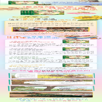 [M]没有尾巴的狼 杨红樱 著 -9787521205640