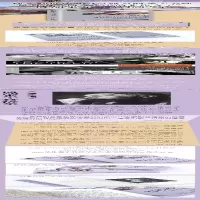 [M]底层的珍珠-9787570214242
