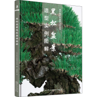 [M]黑松盆景造型实例图解-9787570607235