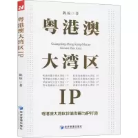 [M]粤港澳大湾区IP 粤港澳大湾区价值发掘与IP打造 陈琼 著 -9787509669648