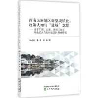 [M]西南民族地区新型城镇化:政策认知与