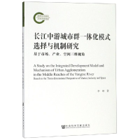 [M]长江中游城市群一体化模式选择与机制研究-9787520137881