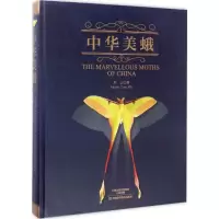 [M]中华美蛾-9787534984075