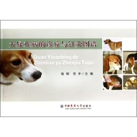 [M]犬疑难病的诊疗与针灸图谱-9787565508493